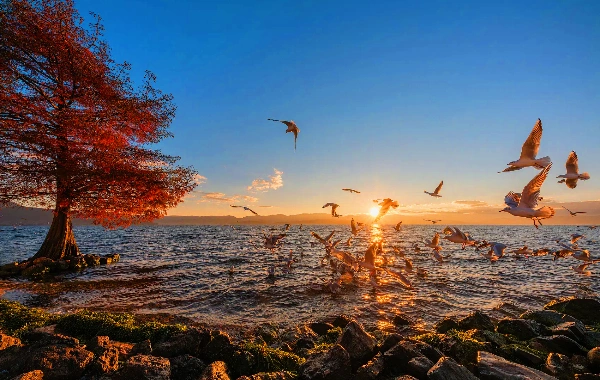 Dianchi Lake