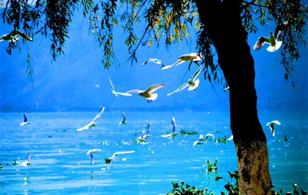 Dianchi Lake