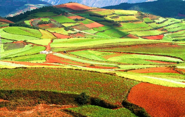 Dongchuan Red Land
