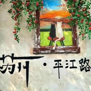 Traffic and Travel Safety Tips for Visitors to Suzhou