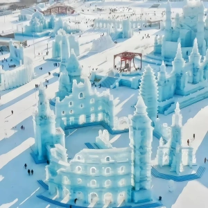 Beijing-Harbin 8-Day Group Tour: Snow Country Train and Ice and Snow Kingdom (Min. 2 Persons)