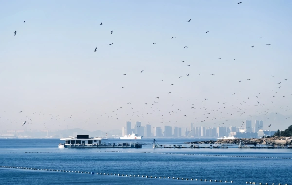 Qingdao Seaside Scenic Area