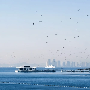 Guide de voyage Qingdao : Routes classiques et expériences immersives