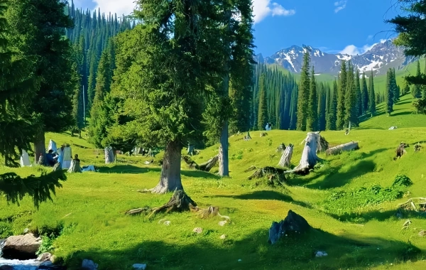 Nalati Grassland