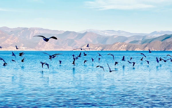 Lugu Lake
