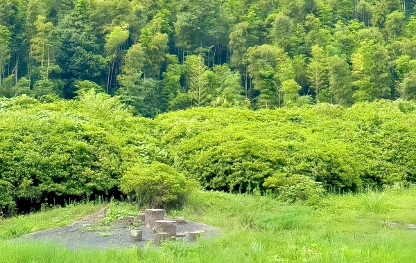 Meiling Scenic Area