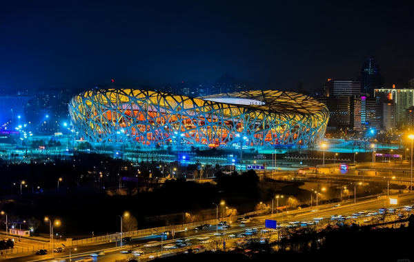 Bird Nest