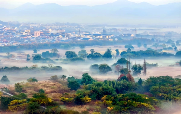 Liangzhu Ancient City
