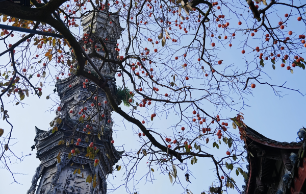 Furong Ancient Town