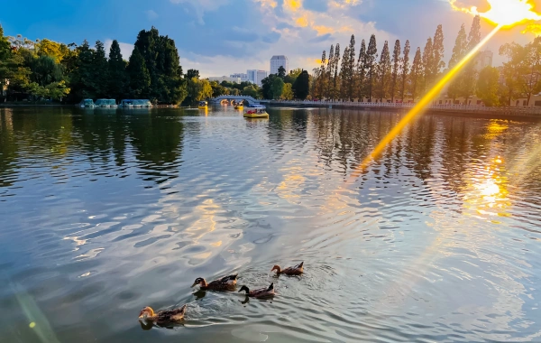 Green Lake Park