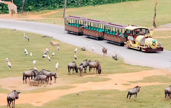 Chimelong Wildlife Park