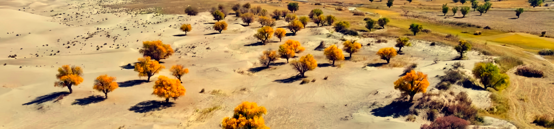 Ultimate Guide to Exploing the Taklamakan Desert: Essential Travel Intelligence