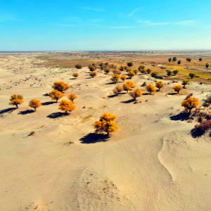 6-day Xinjiang Cultural Tour (Urumqi-Kashgar)