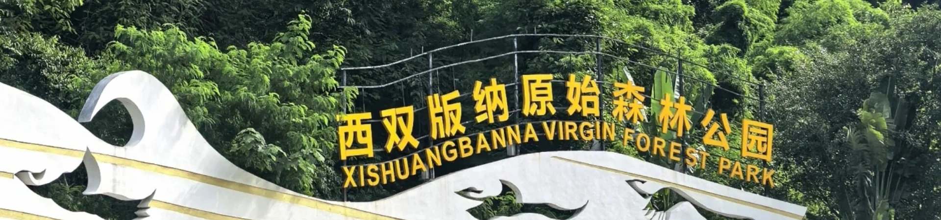 Xishuangbanna Primitive Forest Park