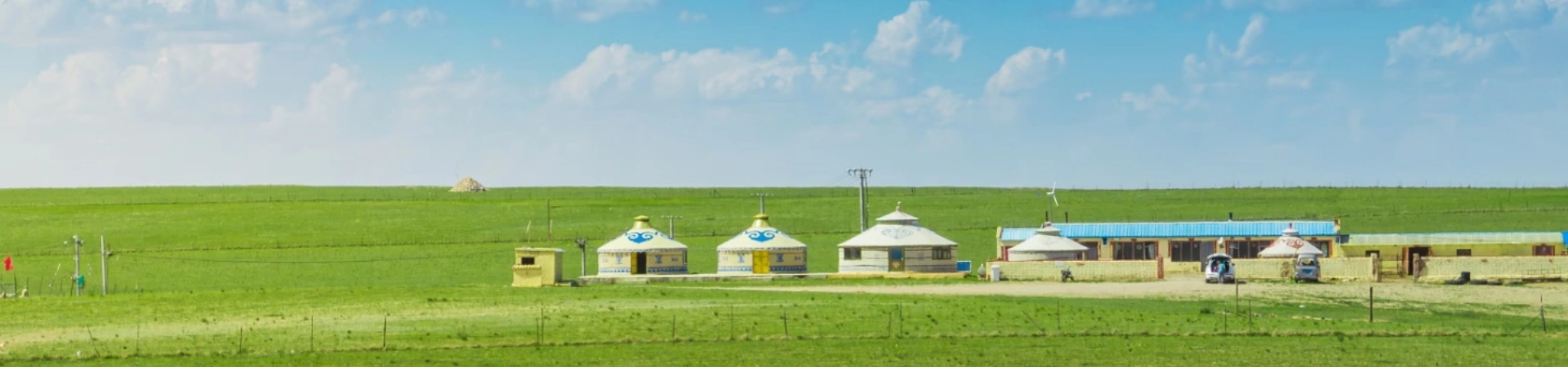 Ordos Grassland