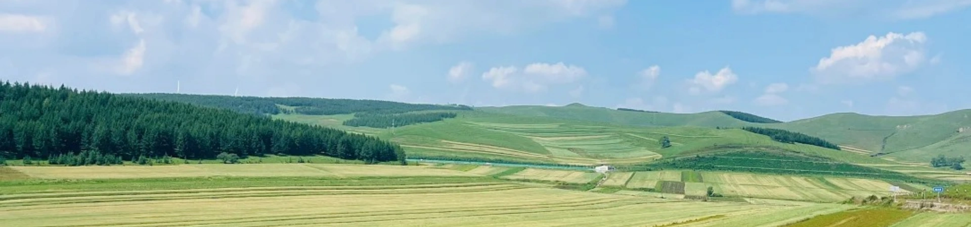 Grassland Sky Road