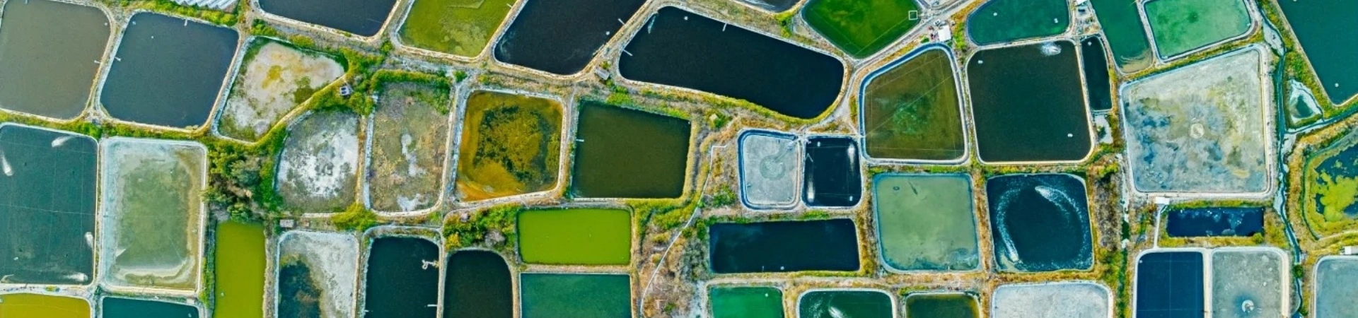 Yinggehai Saltworks