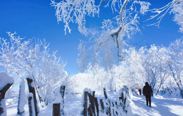 Day 8: Snow Town to Yabuli