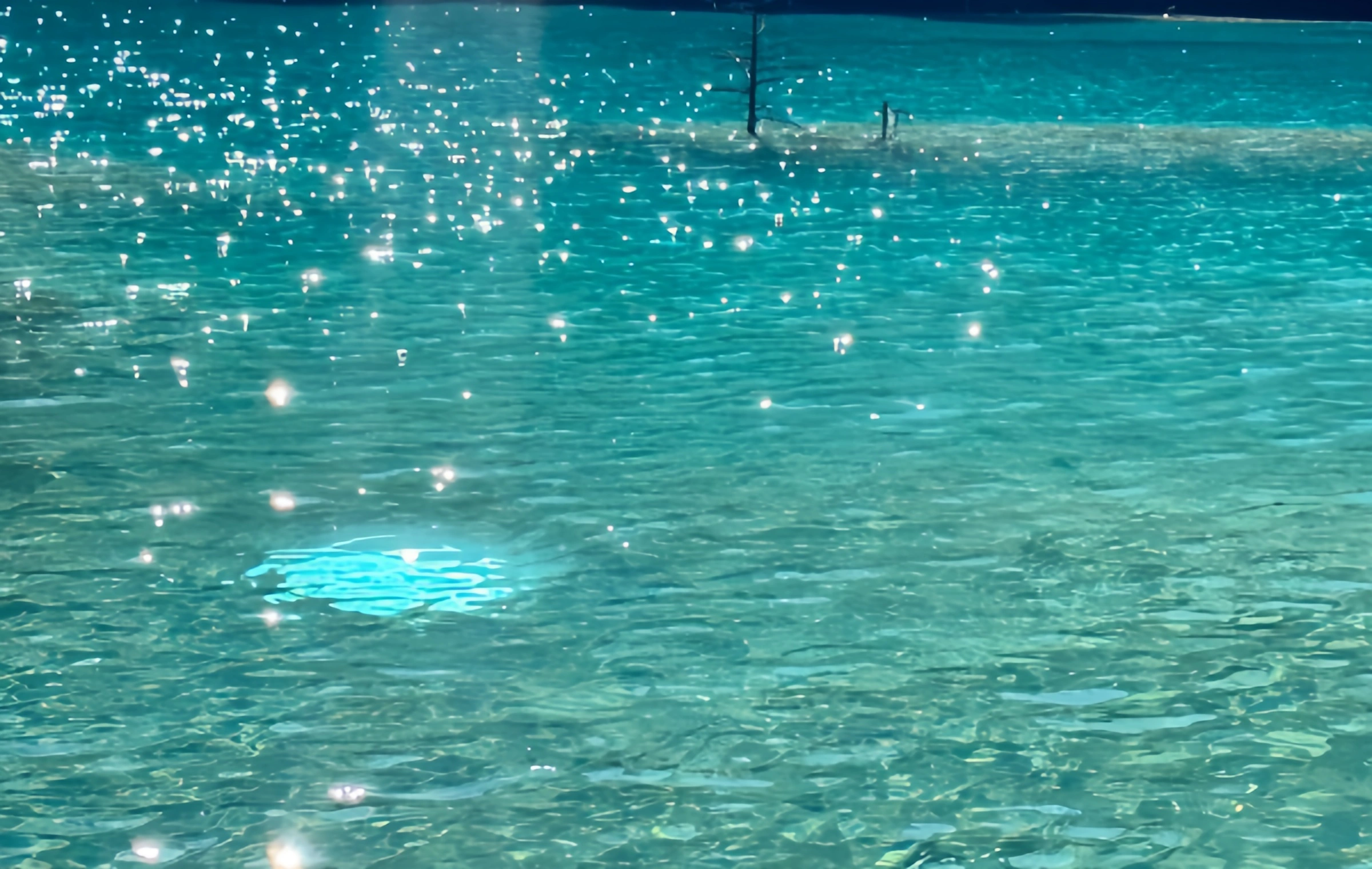 Day 5: Jade Dragon Snow Mountain & Blue Moon Valley