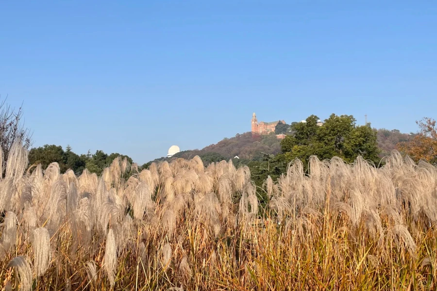 Furong Ancient Town