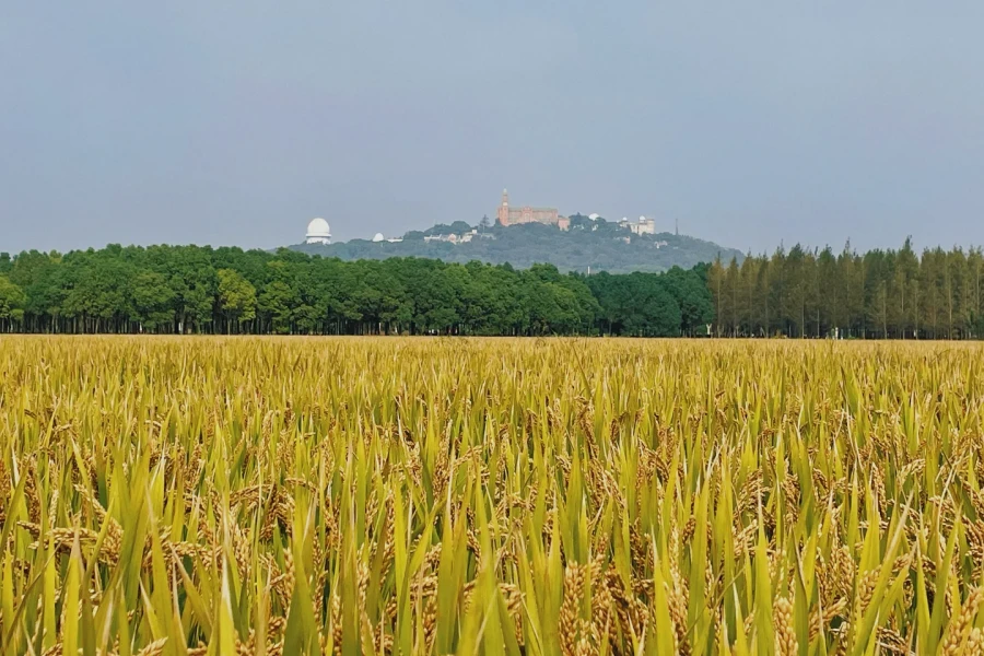 Furong Ancient Town