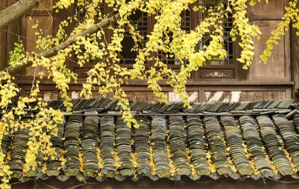 Furong Ancient Town