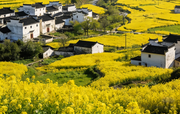 Furong Ancient Town