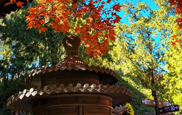 Furong Ancient Town