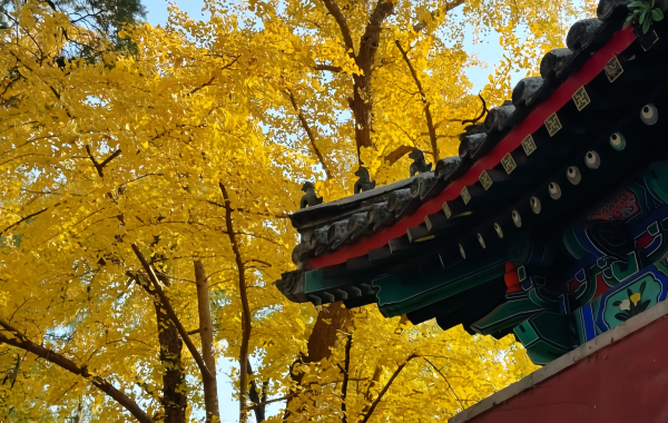 Furong Ancient Town