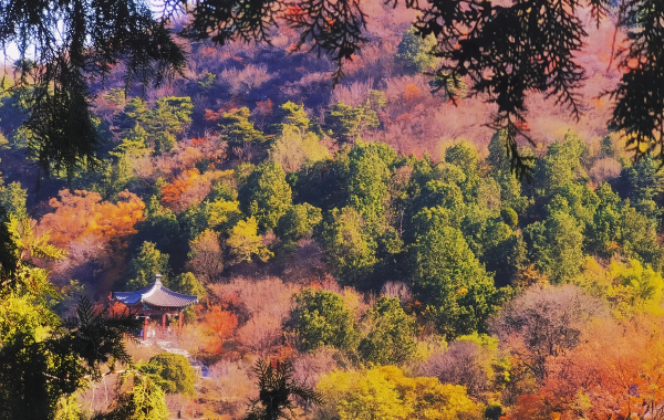 Furong Ancient Town