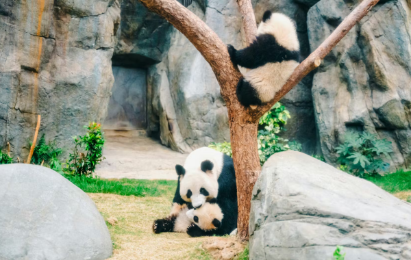行程图片