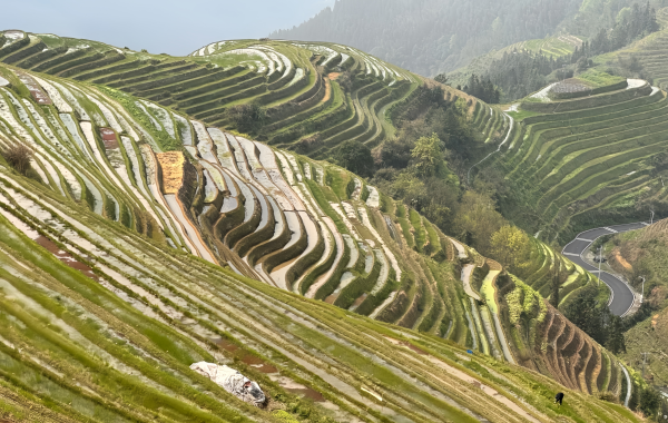 Furong Ancient Town