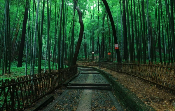 Furong Ancient Town