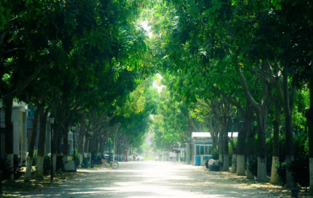 Furong Ancient Town