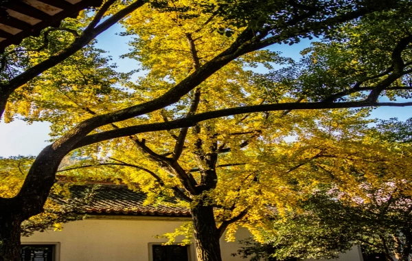 Furong Ancient Town