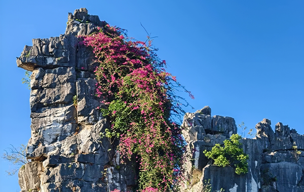 Furong Ancient Town