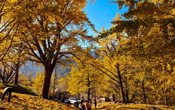 Furong Ancient Town