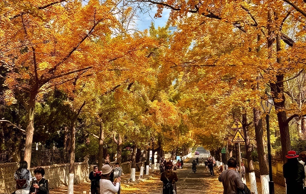 Furong Ancient Town