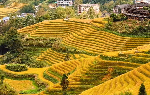 Furong Ancient Town