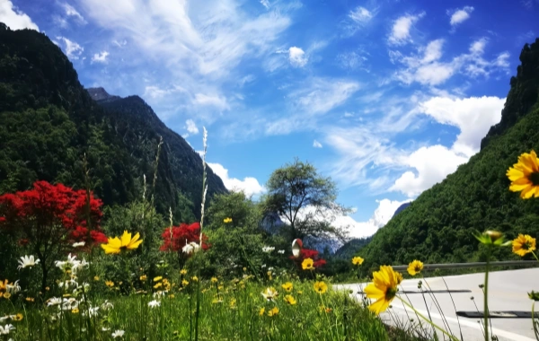 Furong Ancient Town