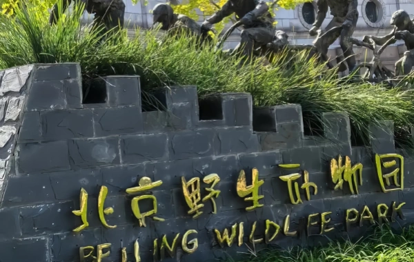 Furong Ancient Town