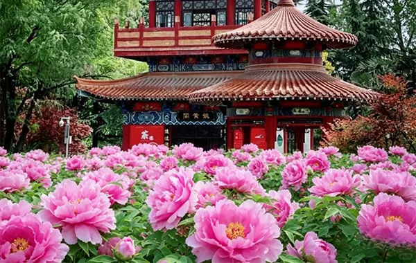 2.webp