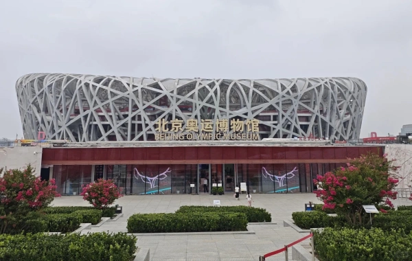 Bird's Nest.webp