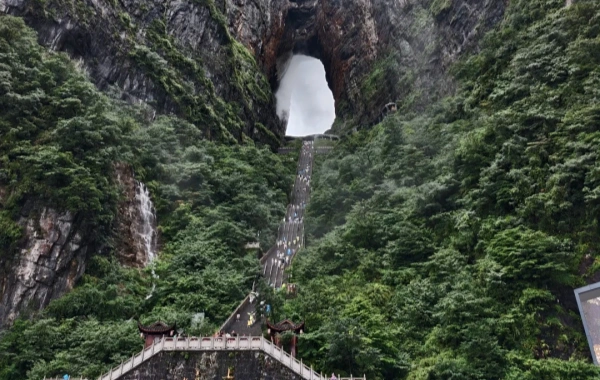 tianmendong.webp