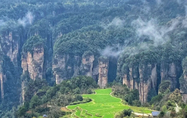 zhangjiajie655.webp