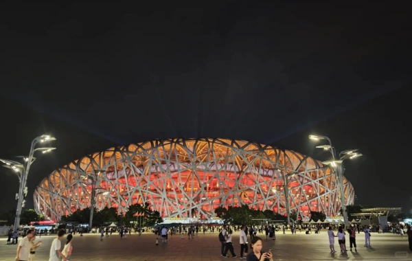 niaochao54514.webp