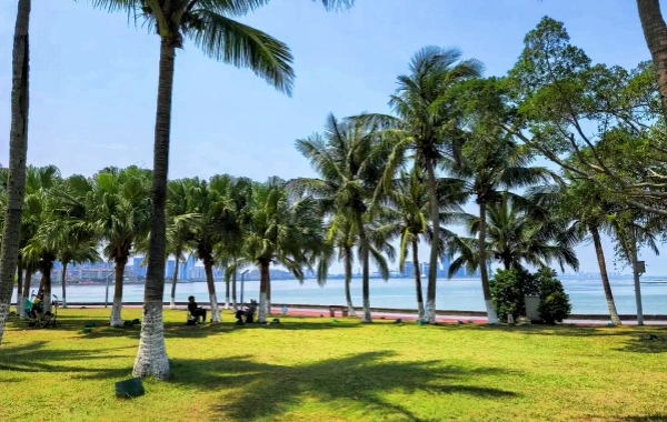 haikou.webp