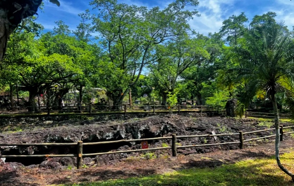leiqiongdizhigongyuan.jpg
