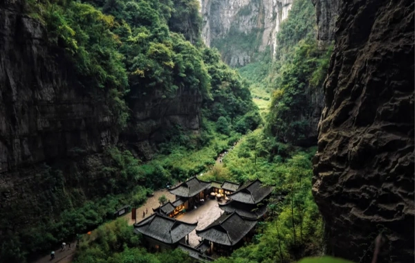 wulong.webp