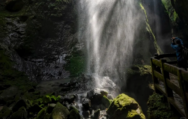 wulong2.webp